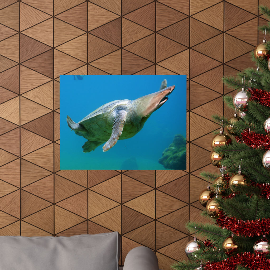 Shark-Turtle Matte Horizontal Poster - Vibrant Underwater Art for Nature Lovers