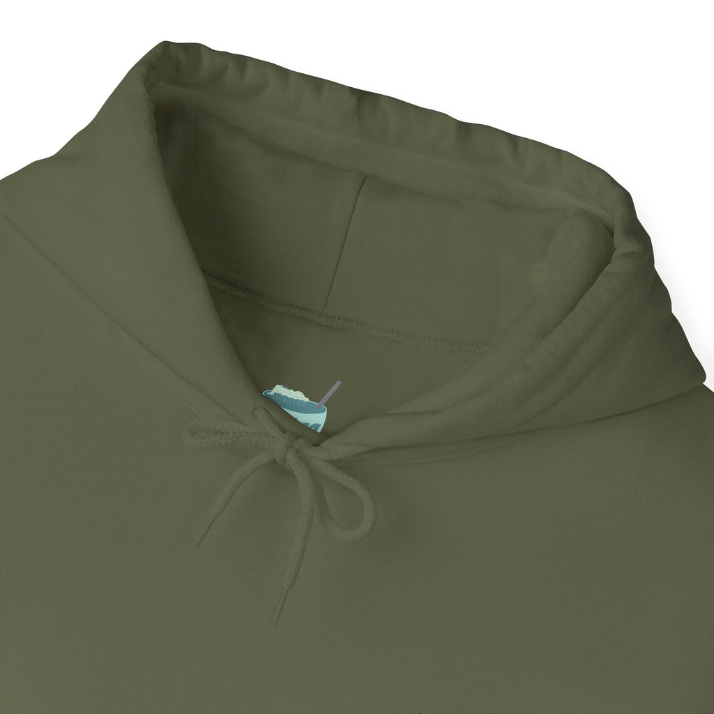 Embroidered Turtle Hoodie