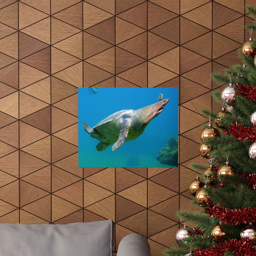 Shark-Turtle Matte Horizontal Poster - Vibrant Underwater Art for Nature Lovers