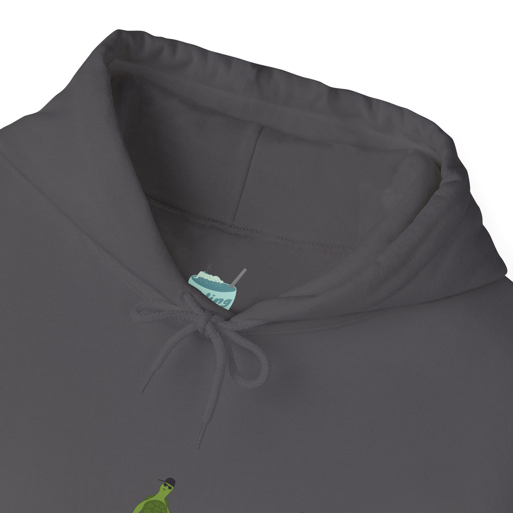 Turtle Skateboarding Hoodie